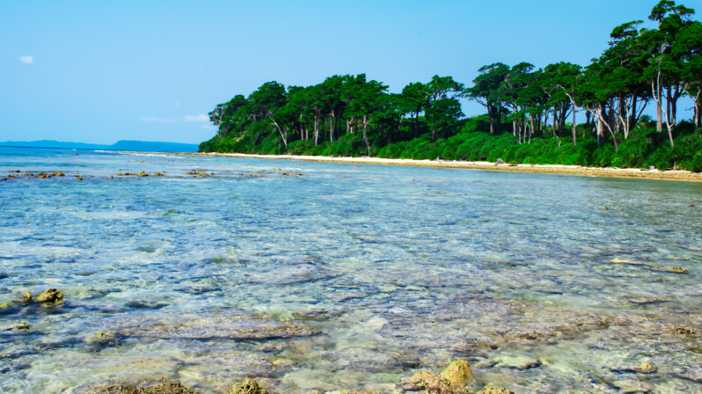 Clear shallow waters with visible rocks lead to a shore with lush green trees under a clear blue sky.