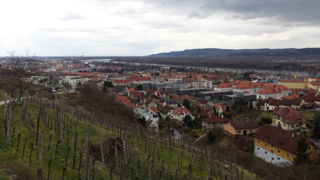 View from a hillside vineyard overlooking a town with red-roofed houses, buildings, and a river in the distance under an overcast sky.