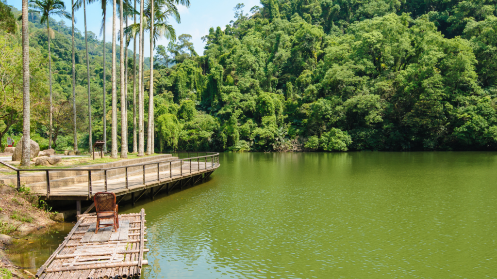 A serene lake surrounded by dense green forest, a wooden deck with railings extending over the water, and tall palm trees lining one side. A lone chair rests on a small bamboo raft.