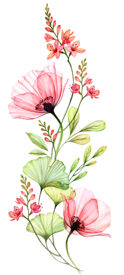 Illustration of a delicate pink floral arrangement with large, open poppies and smaller flowers interspersed with green leaves, reminiscent of the serene beauty found in a private pool villa in Udaipur.