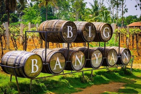 Wooden barrels arranged in two rows spell out "BIG BANYAN" in a vineyard setting with trees in the background, capturing the charm and beauty found at some of the best destination wedding resorts in India.